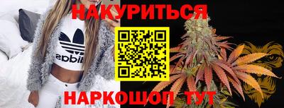 крисы Мирный