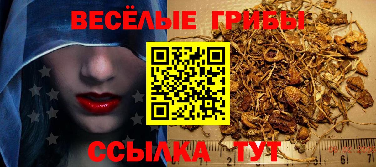 Дербент  Галлюциногенные грибы GOLDEN TEACHER  Вход с VPN 